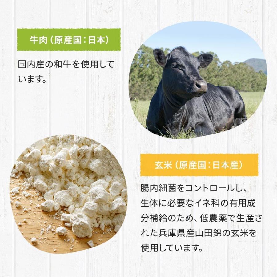 鹿肉 ドッグフード 国産 無添加 ドッグスタンス ベーシック 1kg×3袋 犬