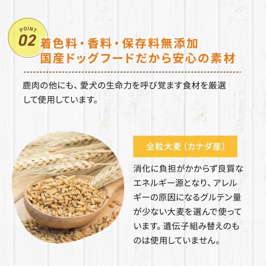 ドッグフード 鹿肉 国産 無添加 ドッグスタンス 鹿肉 ベーシック 1kg 犬用 ベニソン ドックフード ドライフード シニア犬 高齢犬 成犬 パピー 全年齢対応 |  | 08