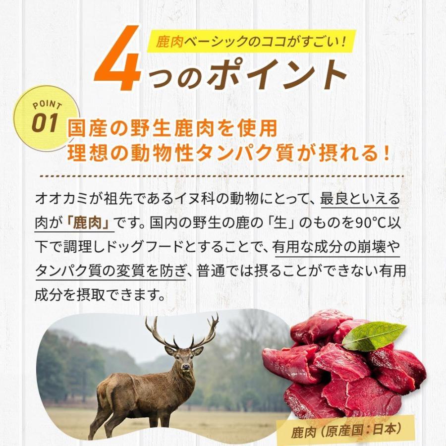 鹿肉 ドッグフード 国産 無添加 ドッグスタンス ベーシック 300g 犬用