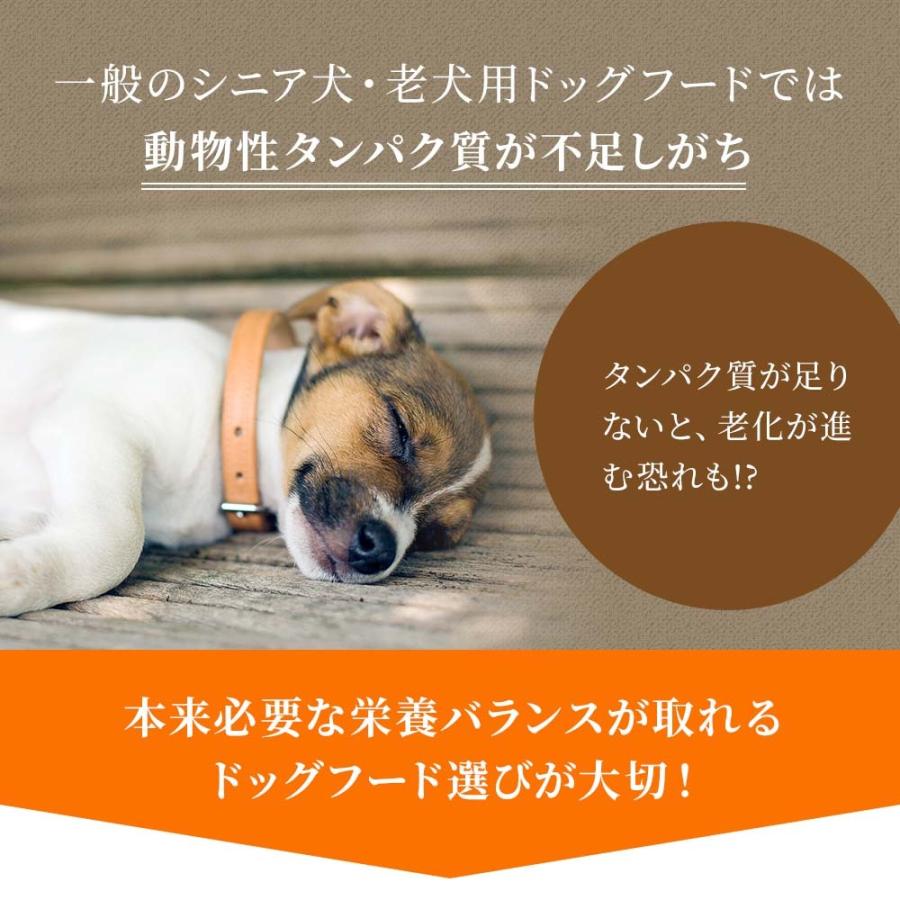 ドッグフード 鹿肉 国産 無添加 ドッグスタンス 麹熟成 800g 犬用