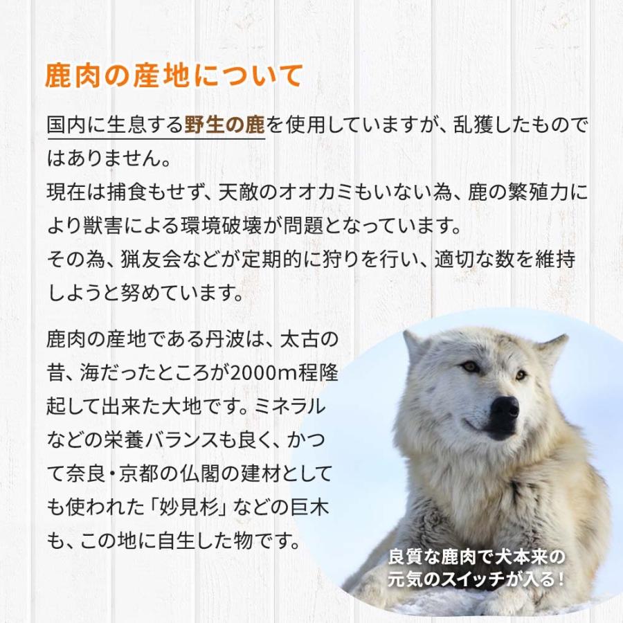 ドッグフード 鹿肉 国産 無添加 ドッグスタンス 麹熟成 800g 犬用