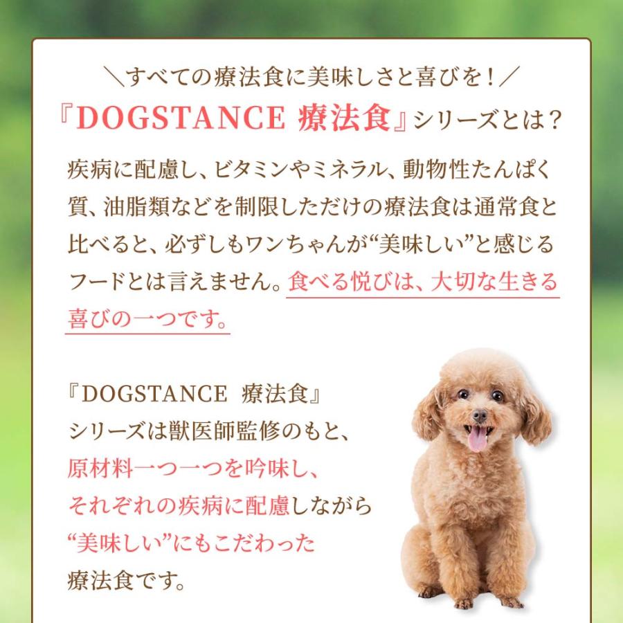 ドッグスタンス 療法食 腎臓・心臓サポート 100g ドライフード ドッグフード DOGSTANCE お試し お一人様1回限り : ペット ...