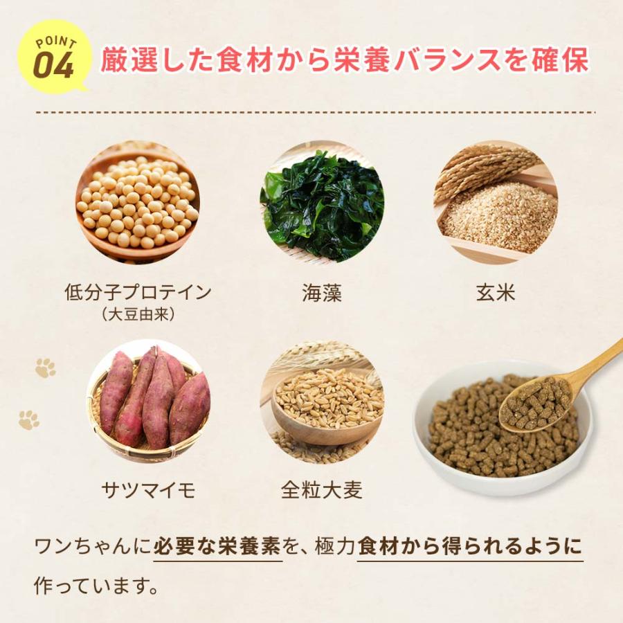 ドッグスタンス 療法食 低脂質サポート 1kg ドライフード ドッグフード