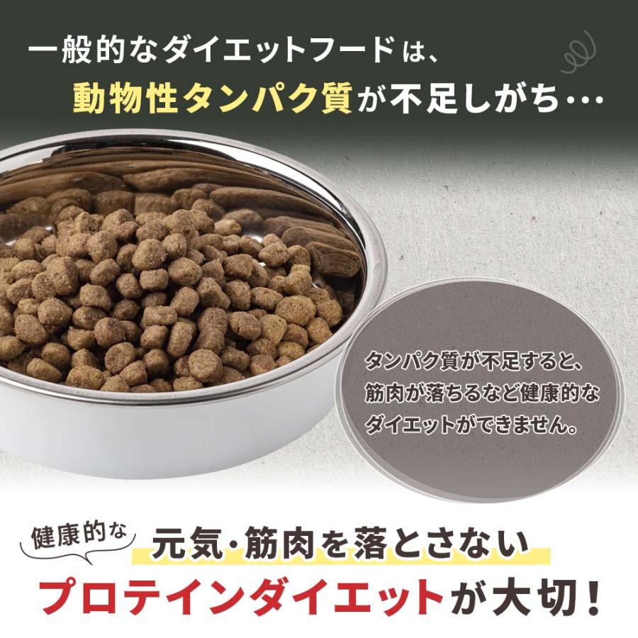 ドッグフード 鹿肉 ダイエット ドッグスタンス ライト 1kg 国産