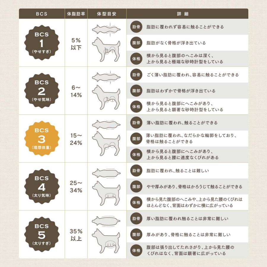 ドッグフード 鹿肉 ダイエット ドッグスタンス ライト 1kg 国産 無添加
