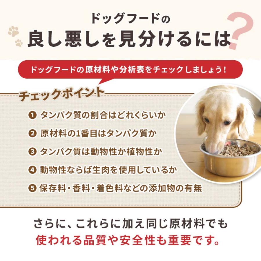 ドッグフード 鹿肉 ダイエット ドッグスタンス ライト 1kg 国産 無添加