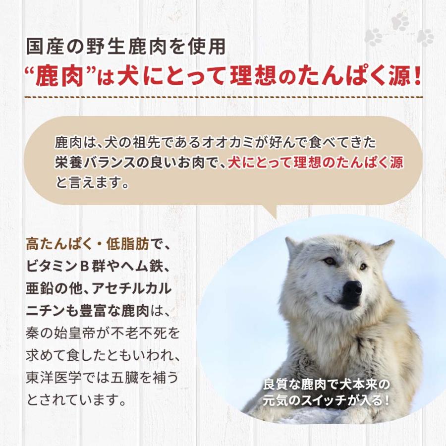 鹿肉 ドッグフード 国産 無添加 ドッグスタンス プロミックス 200g 犬