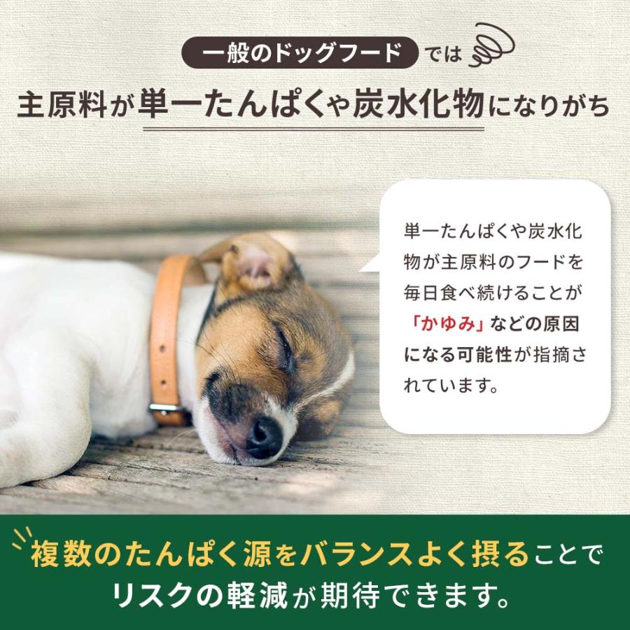 鹿肉 ドッグフード 国産 無添加 ドッグスタンス プロミックス 1kg×3袋