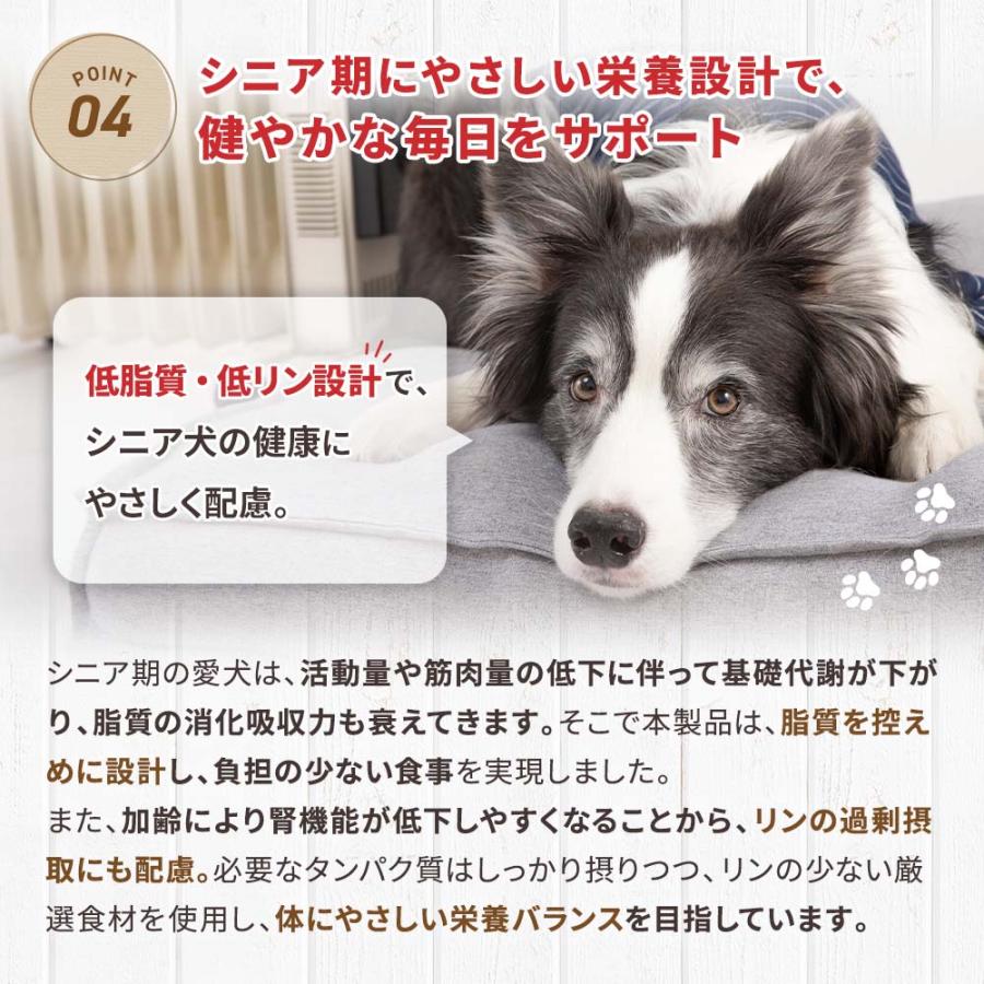 ドッグフード 鹿肉 国産 無添加 ドッグスタンス 和漢シニア 800g×3 犬