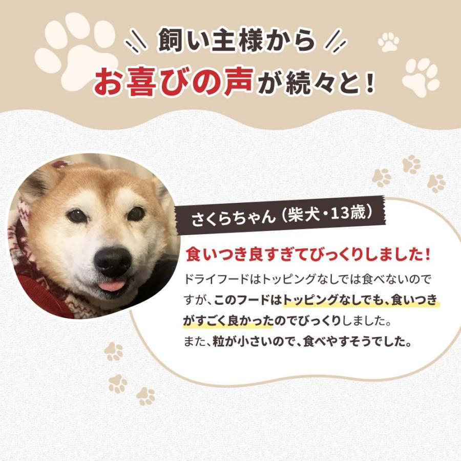 DOG STANCE 鹿肉ドッグフード 800gドッグスタンス ドッグフード 鹿肉 国産 無添加 ドッグスタンス 和漢シニア 800g×3 犬