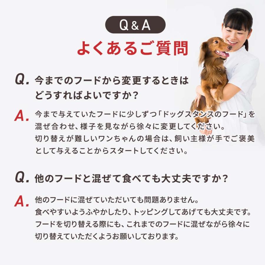 ドッグフード 鹿肉 国産 無添加 ドッグスタンス 和漢シニア 800g×3 犬