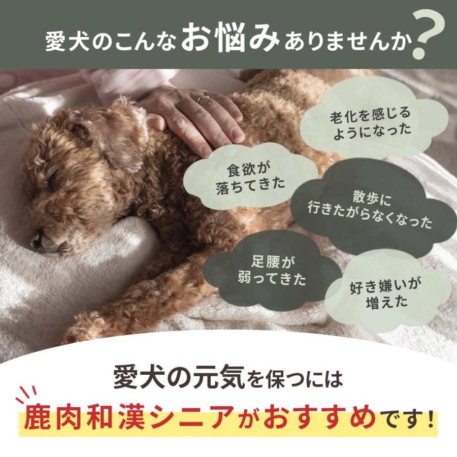 ドッグフード 鹿肉 国産 無添加 ドッグスタンス 和漢シニア 800g×3 犬