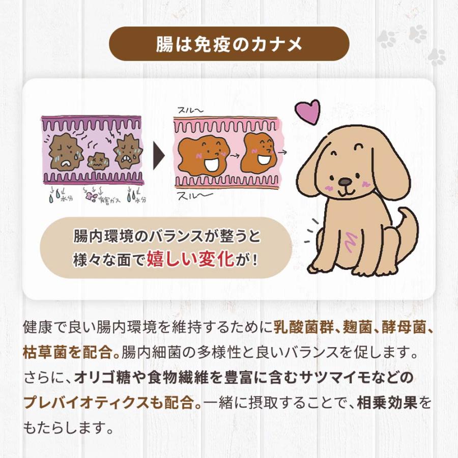 ドッグフード 鹿肉 国産 無添加 ドッグスタンス 和漢シニア 800g×3 犬