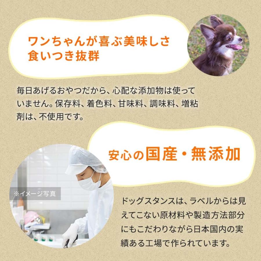 送料無料 ドッグスタンス シニア犬向けの鹿肉ドッグフード お得なお