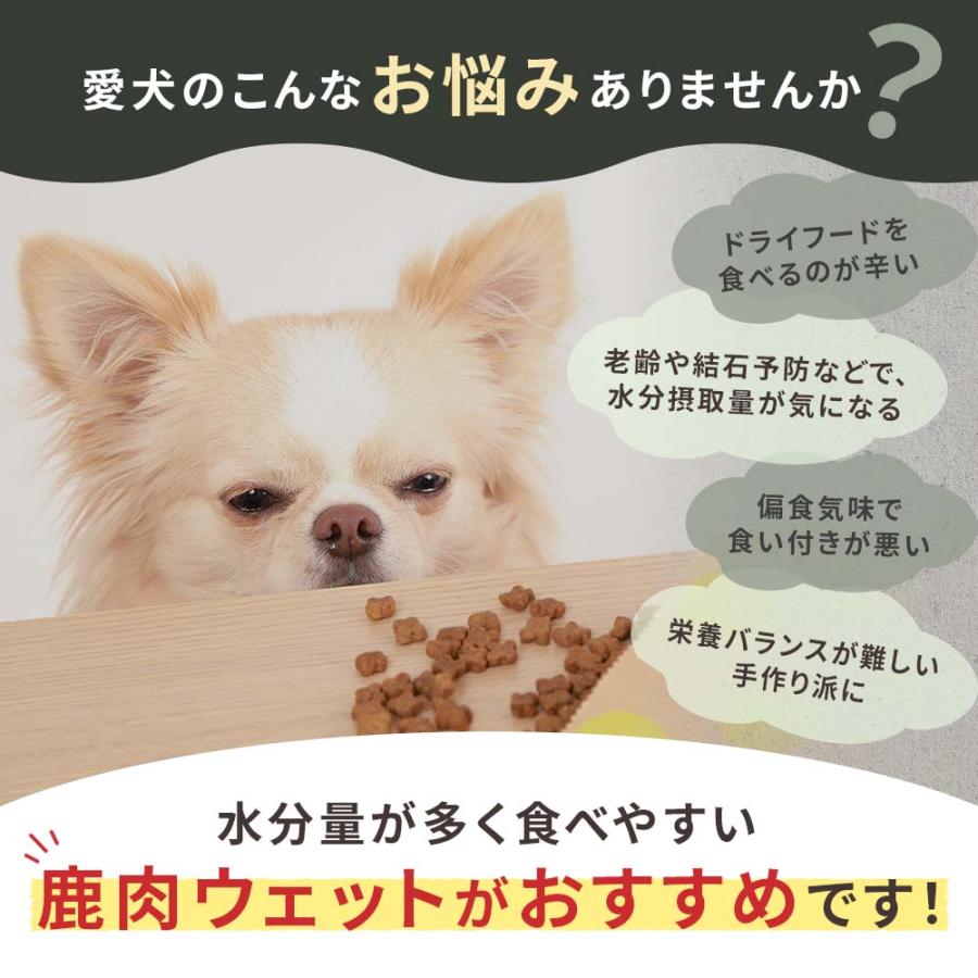ドッグフード 鹿肉 国産 無添加 ウェットフード ドッグスタンス