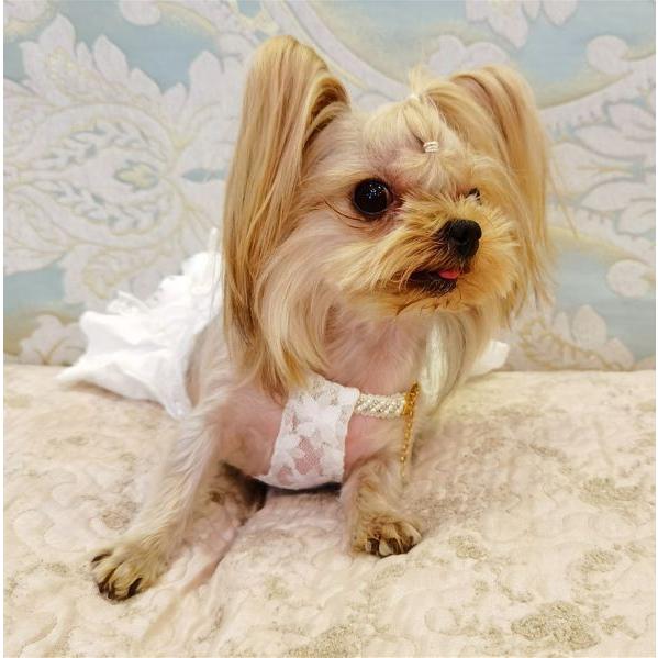 ホワイトウエディングドレス【犬服・ハーネスリード専門店rumor