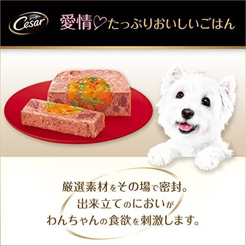 ペット フード 犬 シーザー11歳 チキン パンプキン 100g ウェット ドッグ 健康 水分｜dogwithme｜03