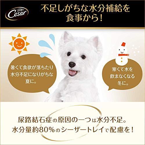 ペット フード 犬 シーザー11歳 チキン パンプキン 100g ウェット ドッグ 健康 水分｜dogwithme｜06