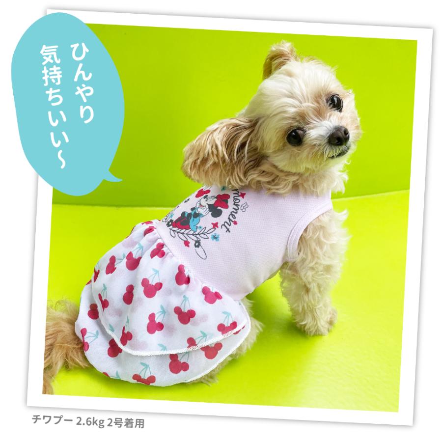 犬 服 犬の服 猫 ペット ペットウェア  Disney ディズニー ミニー チェリー ワンピース DS241-021-015｜dogwithme｜13