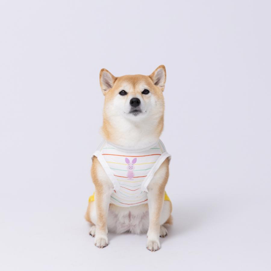 Disney（ディズニー） 犬 服 犬の服 ペット ペットウェア プーさん