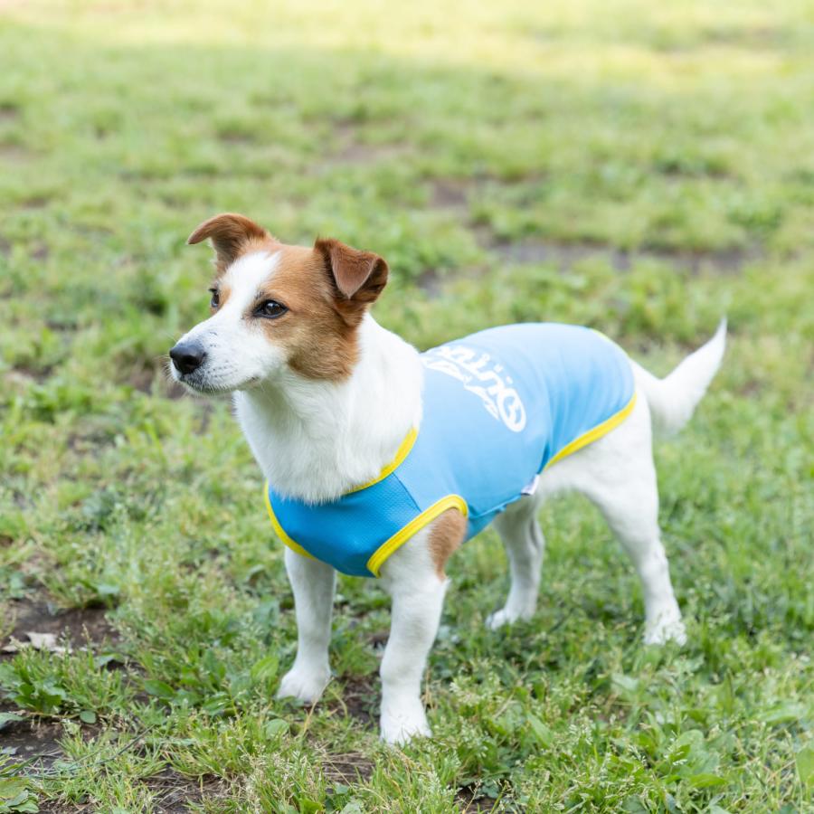 スリーアローズ 犬 服 犬の服 ペット ペットウェア OUTDOOR PRODUCTS