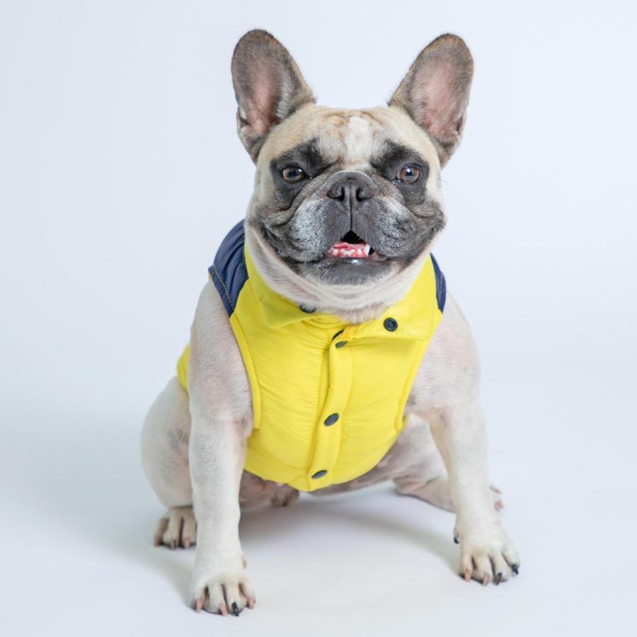 スリーアローズ ペット 犬服 PiPi サーマルベスト フレブルサイズ 犬服