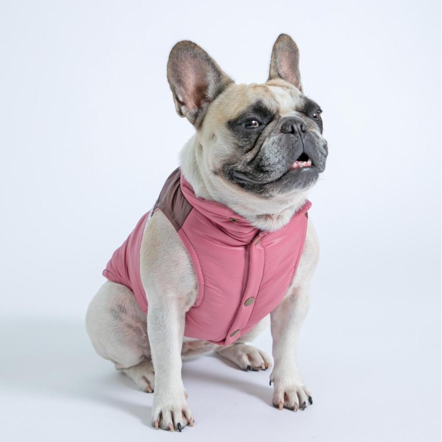 スリーアローズ ペット 犬服 PiPi サーマルベスト フレブルサイズ 犬服