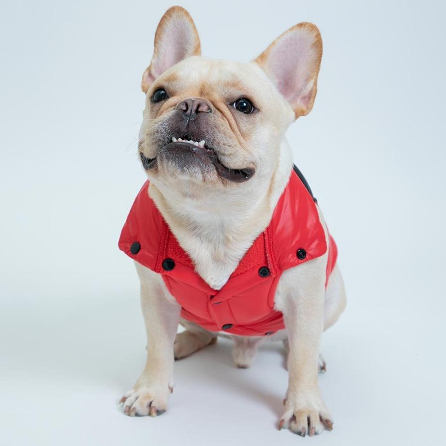 スリーアローズ ペット 犬服 PiPi サーマルベスト フレブルサイズ 犬服