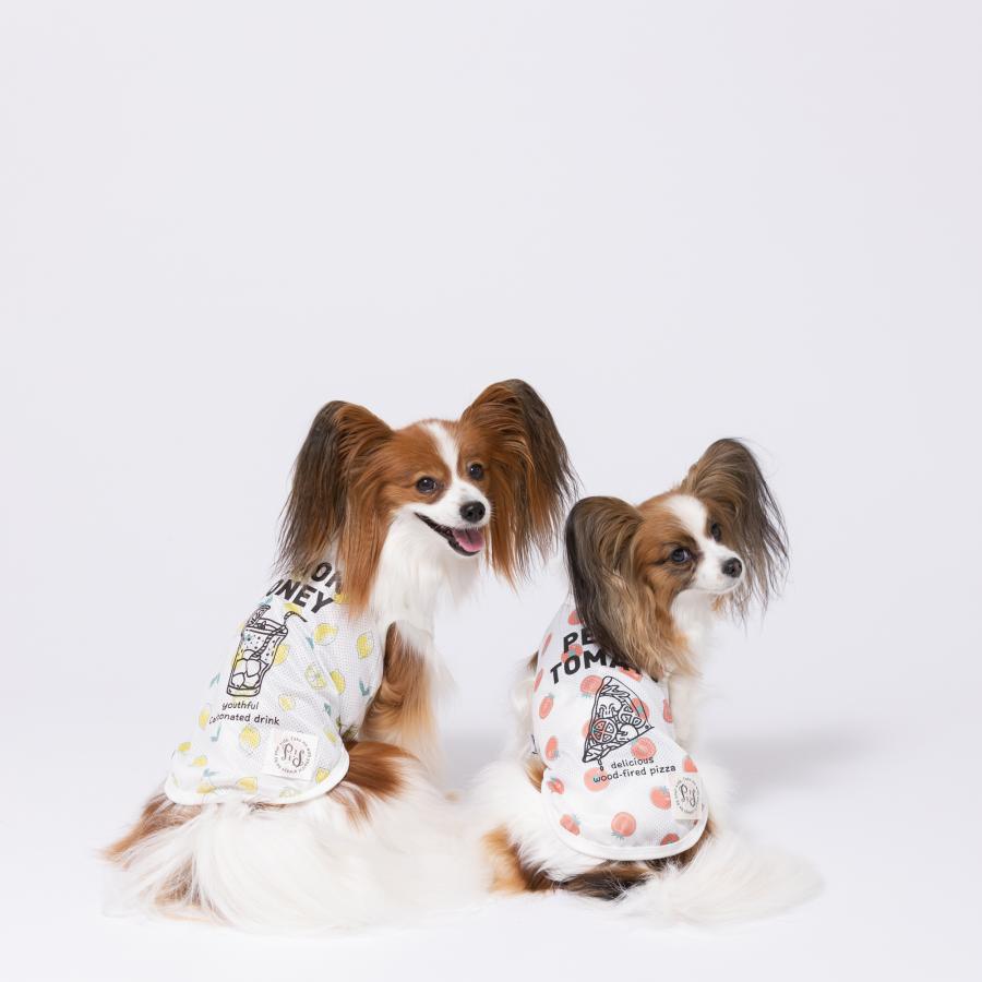 pipi アウトレット ペット 犬服 PiPi いちご レモン トマト 柄 ペット