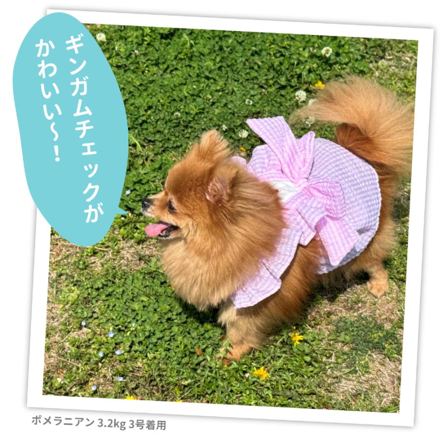 pipi 犬 服 犬の服 ペット ペットウェア PiPi ギンガムチェック