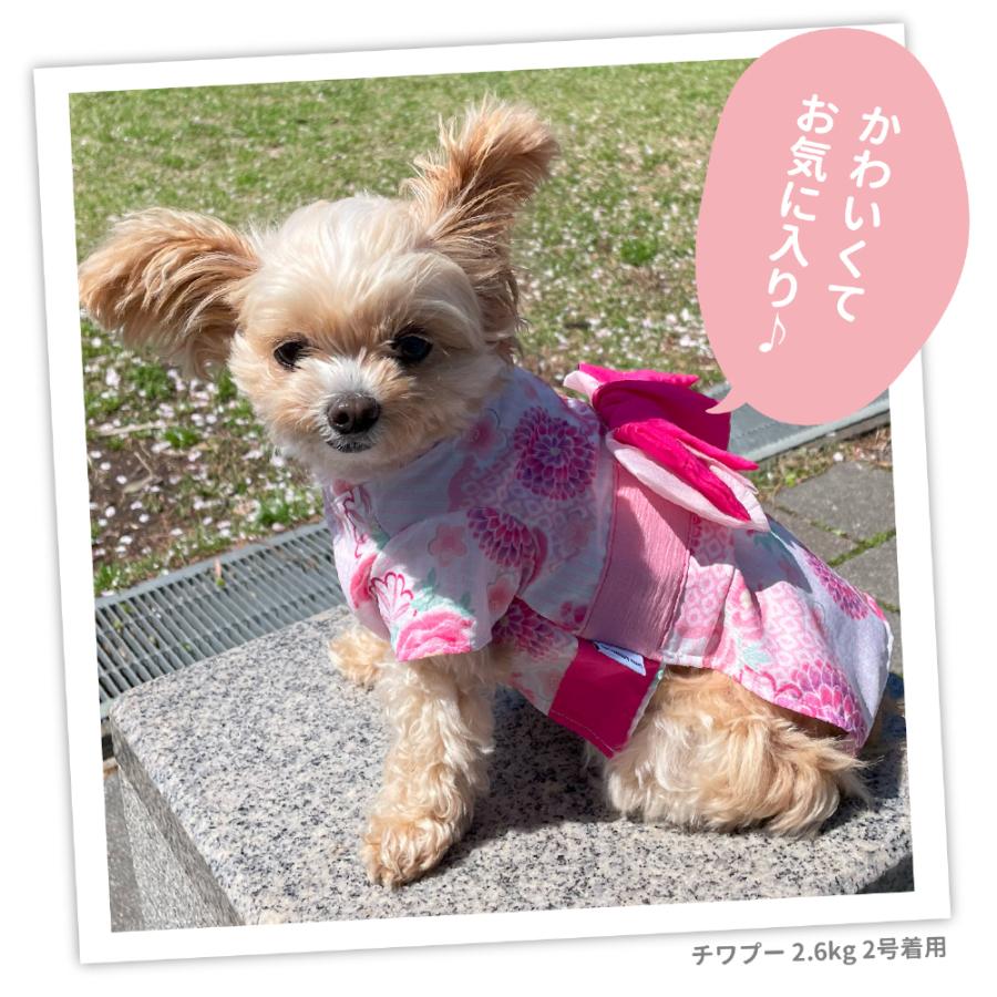 pipi 犬 服 犬の服 ペット ペットウェア PiPi 牡丹柄 浴衣 金魚柄 甚平