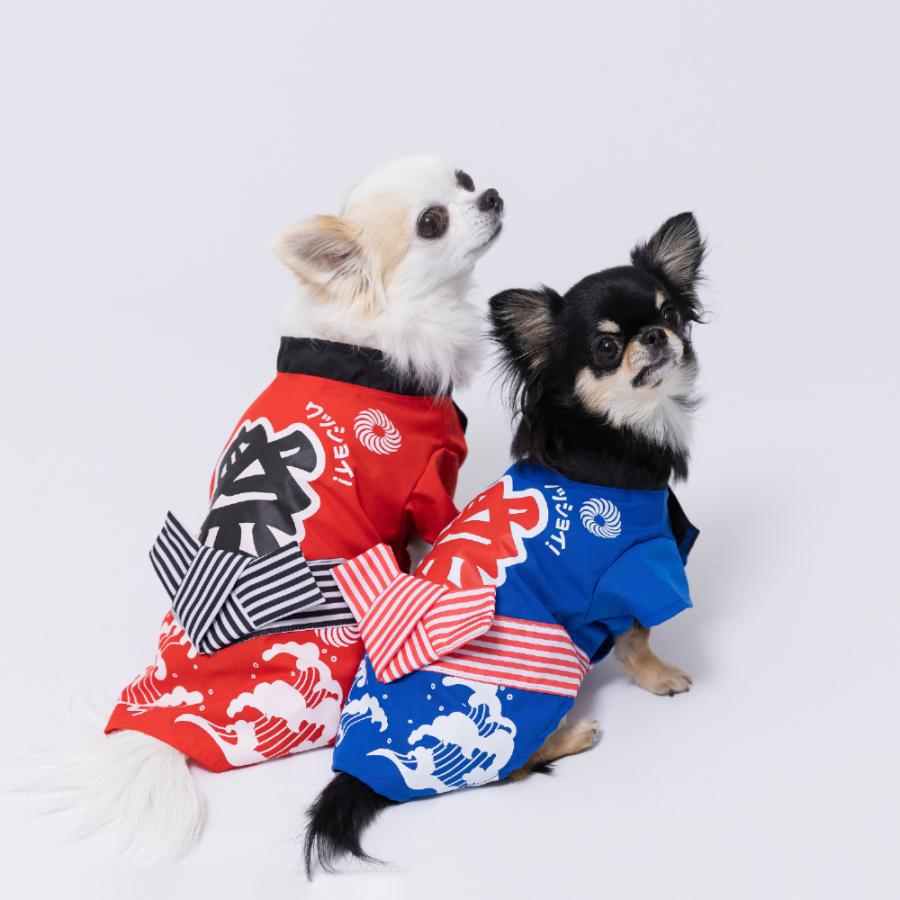 pipi 犬 服 犬の服 ペット ペットウェア PET THREE お祭り はっぴ
