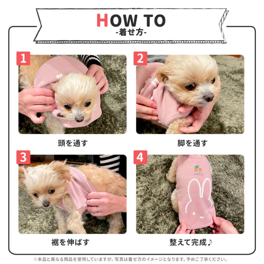 スリーアローズ 犬服 犬の服 【 セサミストリート 】なりきりニット