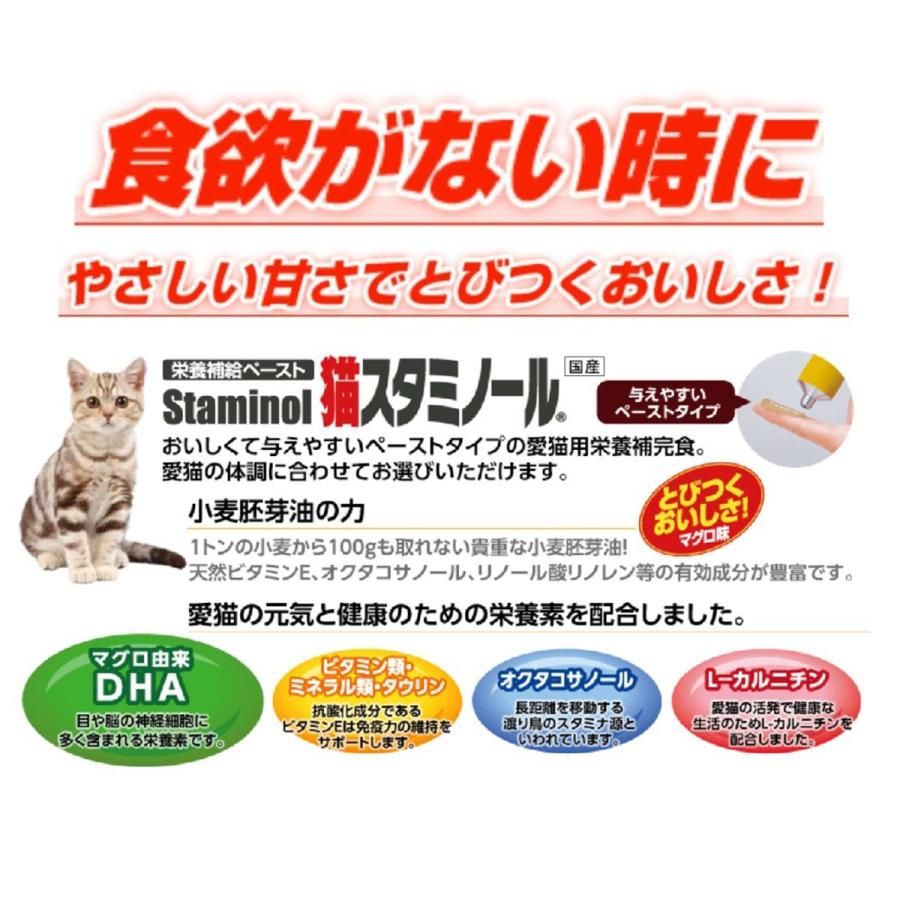 アース・ペット 猫スタミノール 食欲がないときに 50g : ドッグ