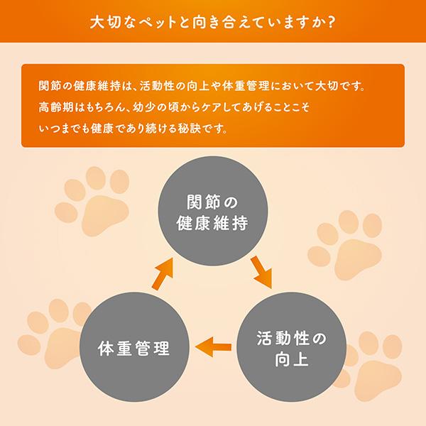 エランコ（Elanco） コセクイン タブレット120 犬用 120粒入 : ドッグ