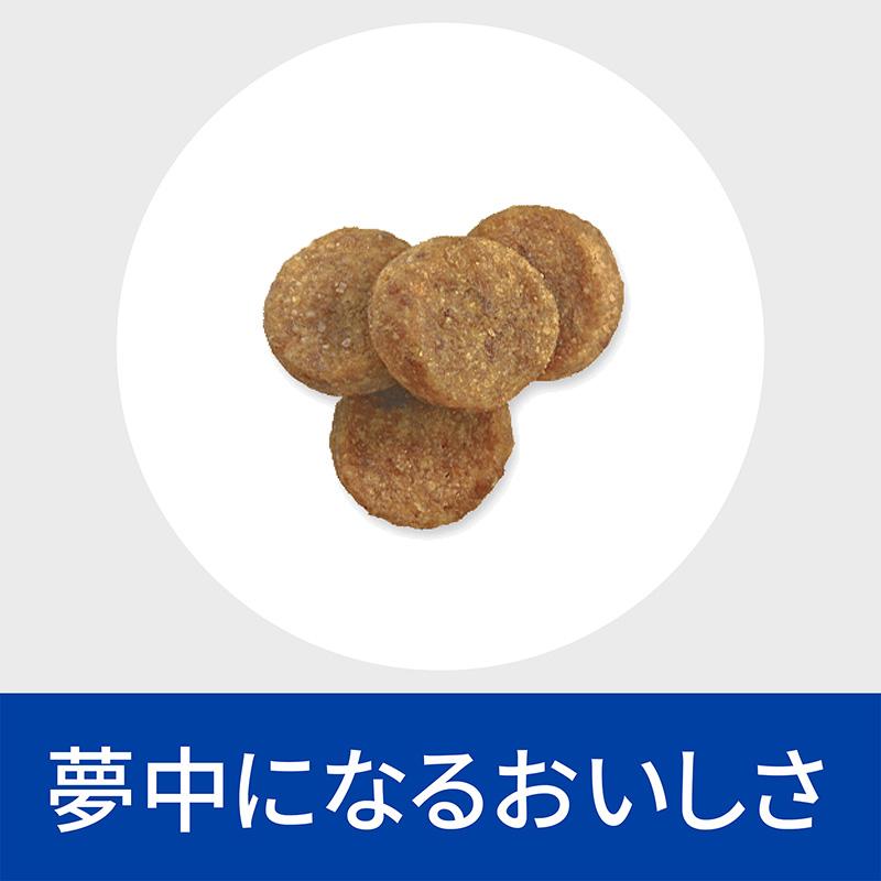 プリスクリプション・ダイエット ［2袋セット］ヒルズ 犬用 ダーム