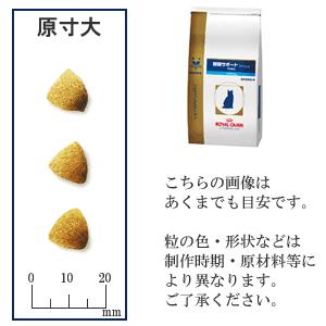 ロイヤルカナン 食事療法食 猫用 腎臓サポート スペシャル 2kg ドッグワールド 通販 Paypayモール