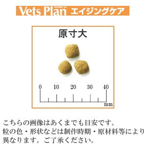 ロイヤルカナン ベッツプラン 犬用 エイジングケア 3kg ドッグワールド 通販 Paypayモール