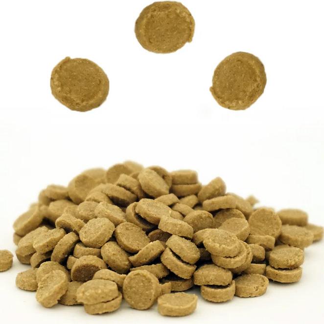 Smiley スマイリー チキンdeli 全年齢・全犬種対応 国産 5kg : ドッグ