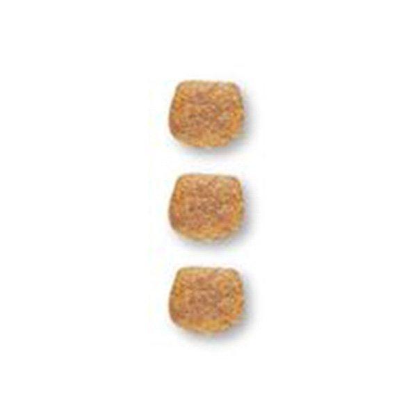 豪華で新しい 2袋セット ロイヤルカナン 食事療法食 猫用 腎臓サポート ドライ 2kg discoversvg.com 豪華で新しい 2袋セット ロイヤルカナン 食事療法食 猫用 腎臓サポート ドライ 2kg discoversvg.com