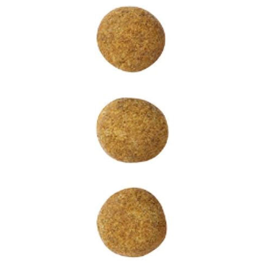 絶品 ロイヤルカナン 食事療法食 犬用 満腹感サポート S 小型犬用 ドライ 1kg2 419円 Whitesforracialequity Org