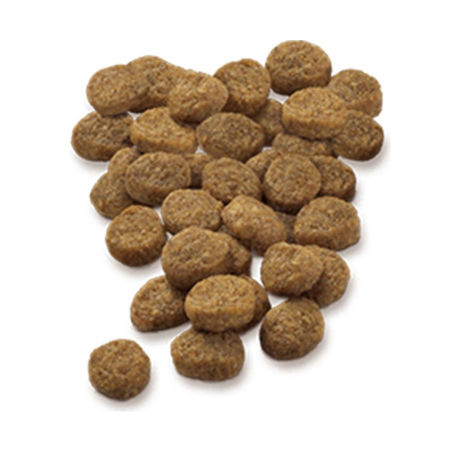 SELECT BALANCE セレクトバランス グレインフリー アダルト チキン