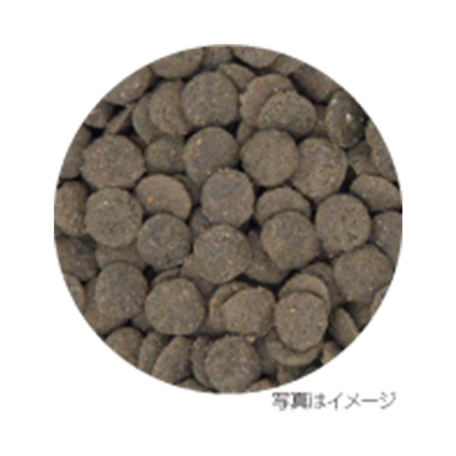 イースター ベッツセレクション 猫用 腎ケア BPレーベル 400g : ドッグ