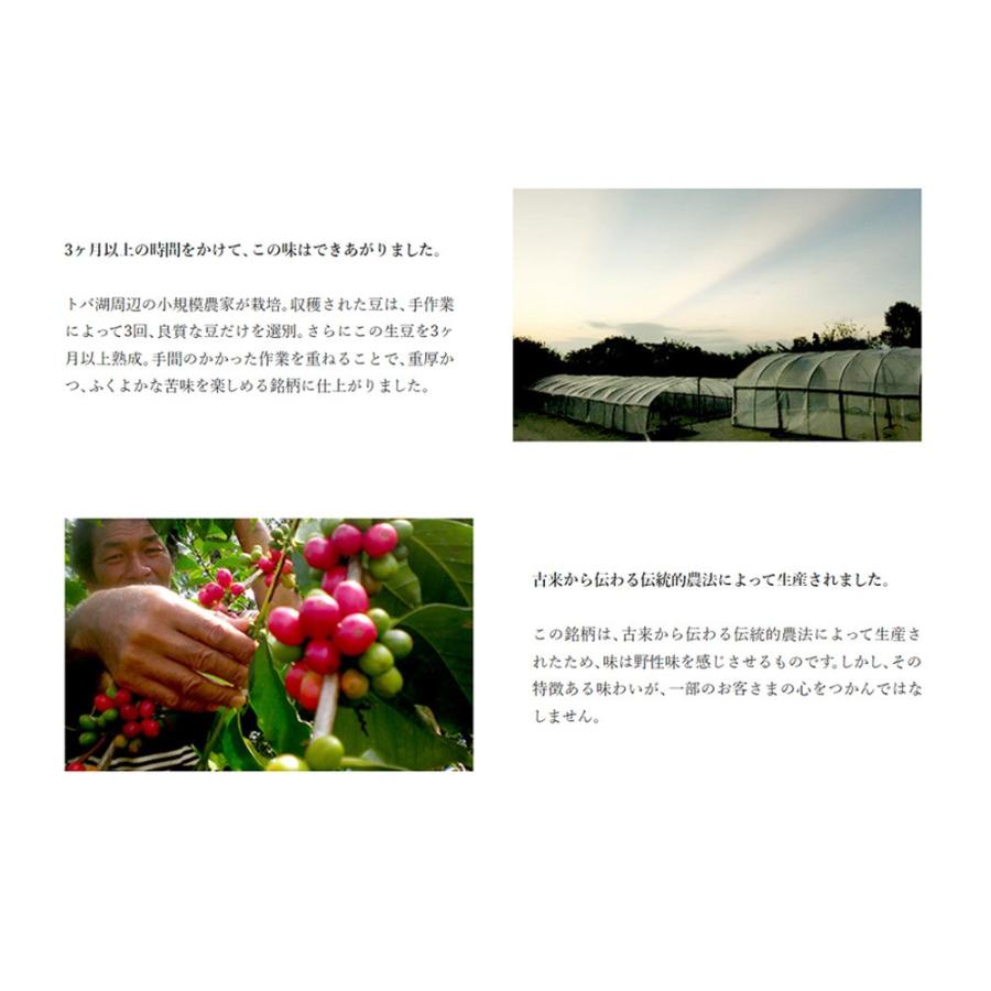 ゴールデンマンデリン※ |  | 02