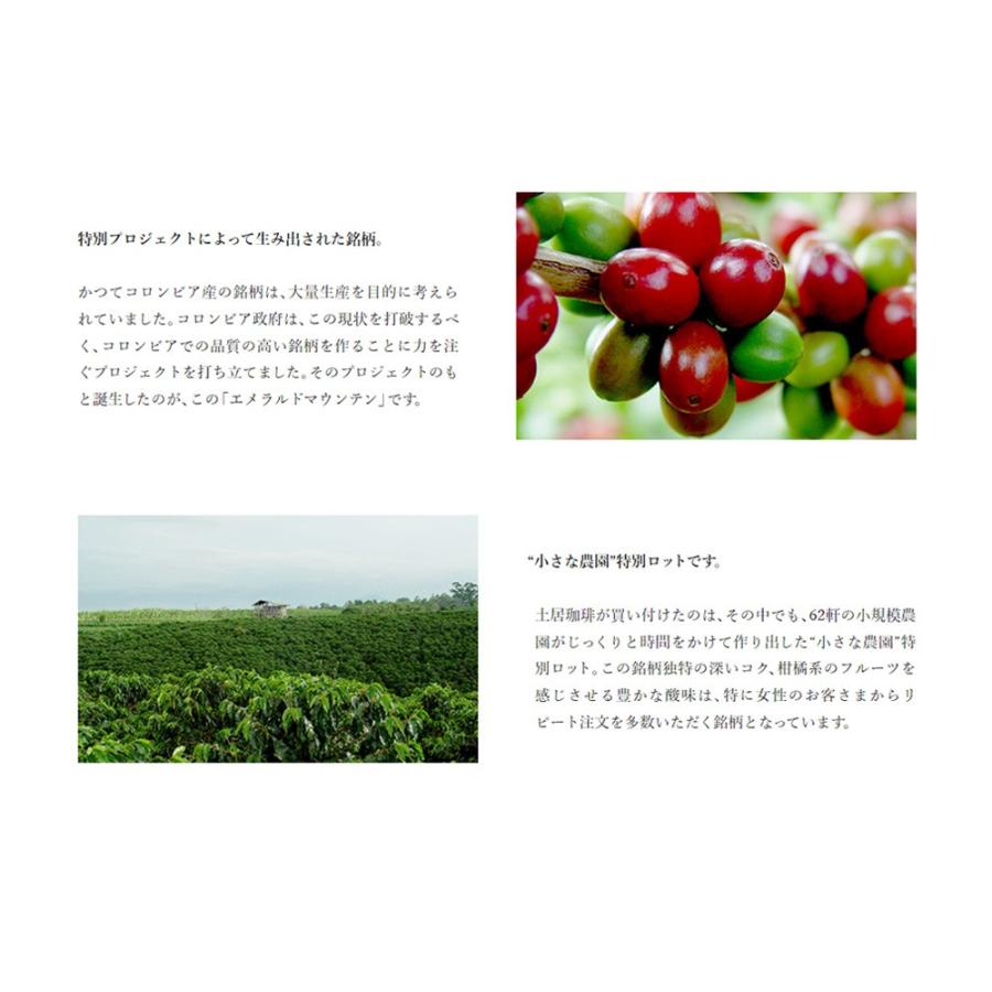 コロンビア　エメラルドマウンテン（小さな農園ロット）※ |  | 02