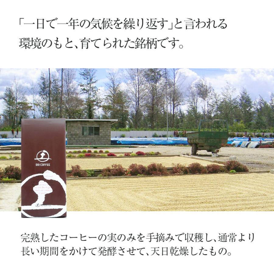 パプアニューギニア　シグリ農園※ |  | 01