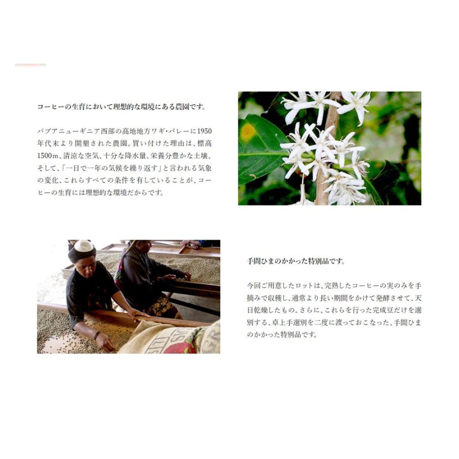 パプアニューギニア　シグリ農園※ |  | 02