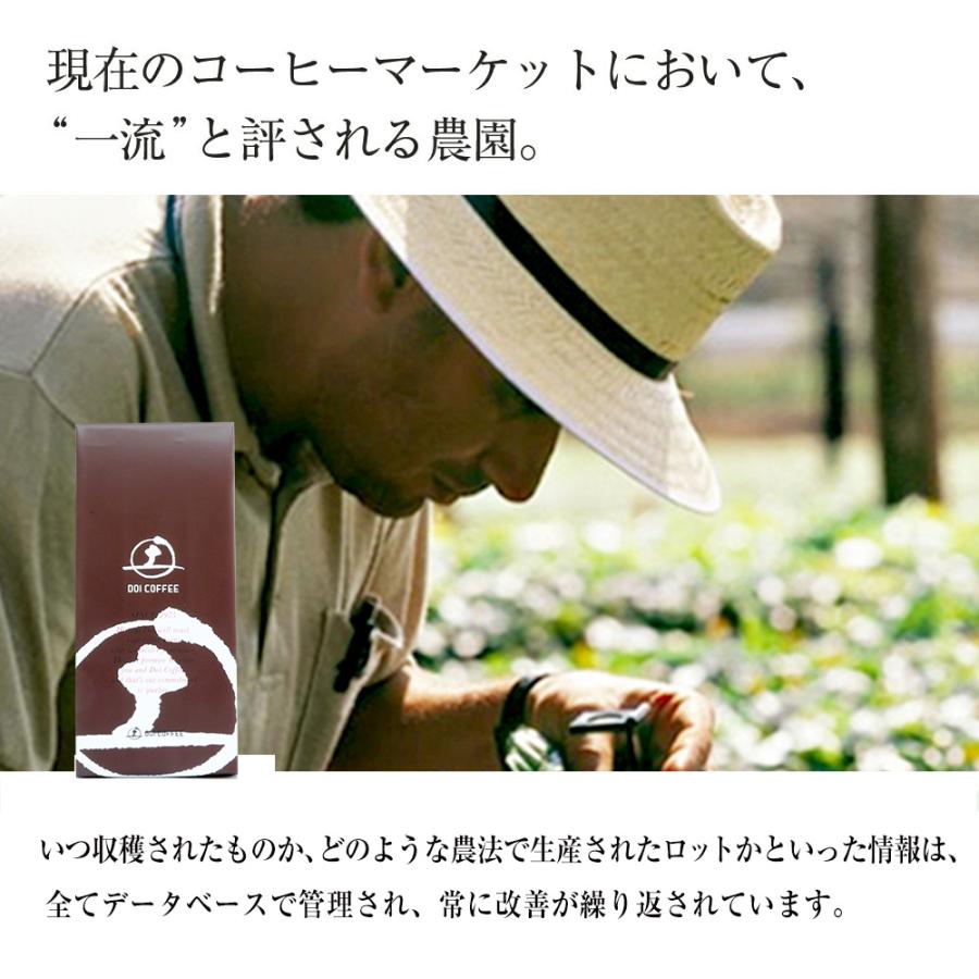 ブラジル　ダテーラ農園※ |  | 01