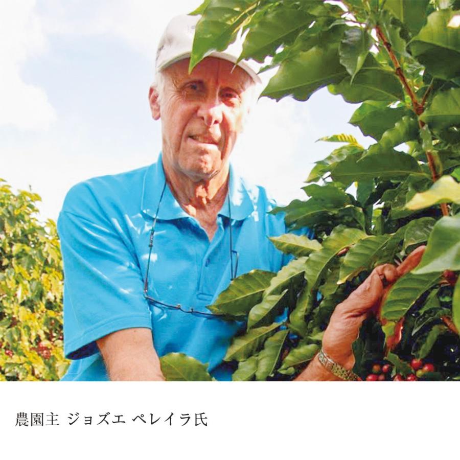 ブラジルアマレロ（ボンジャルディン農園）※ |  | 04