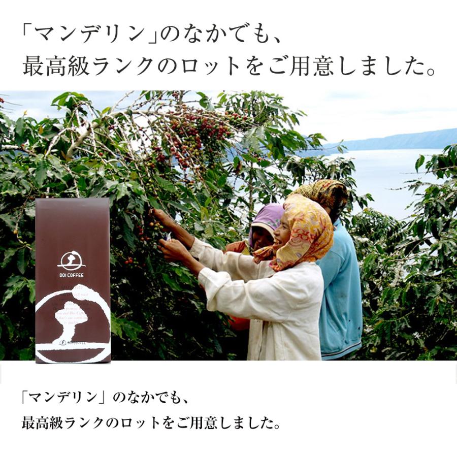 マンデリンＧ１※ |  | 01